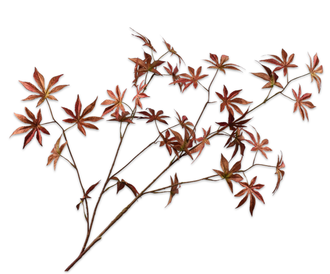 MAPLE SPRAY BROWN  130 CM