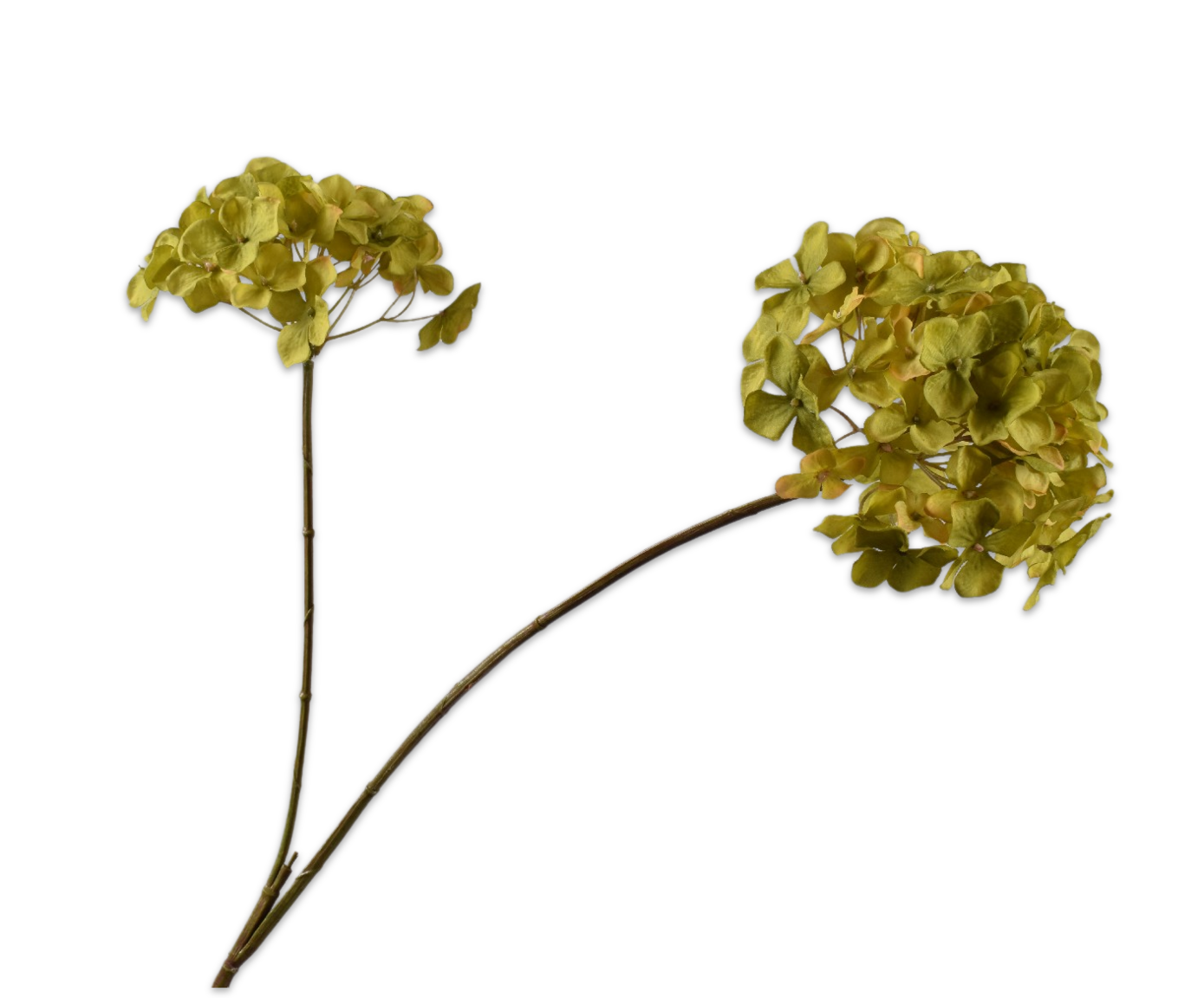 HYDRANGEA SPRAY GREEN  85 CM