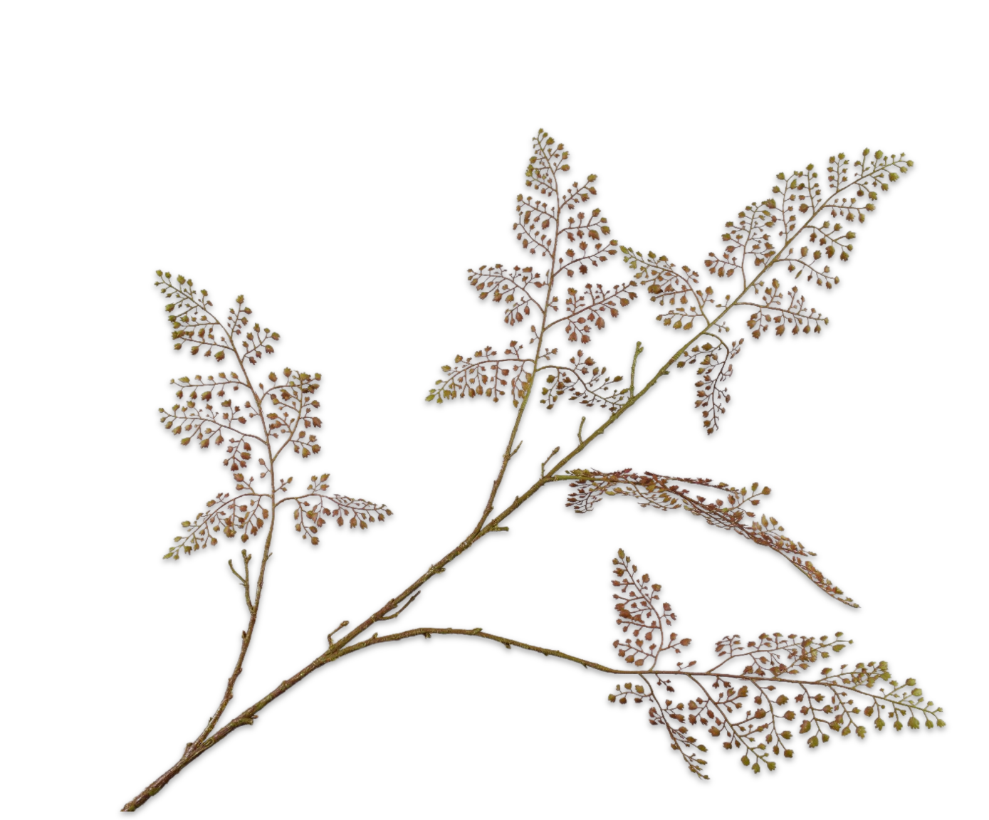 FERN SPRAY BRN/GRN  120 CM