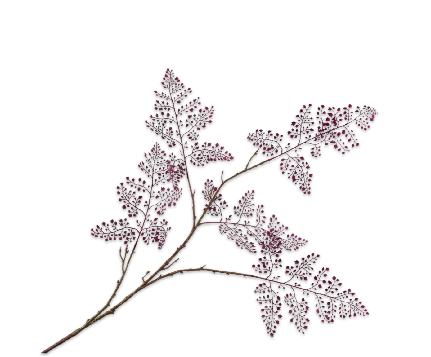 FERN SPRAY PURPLE  120 CM