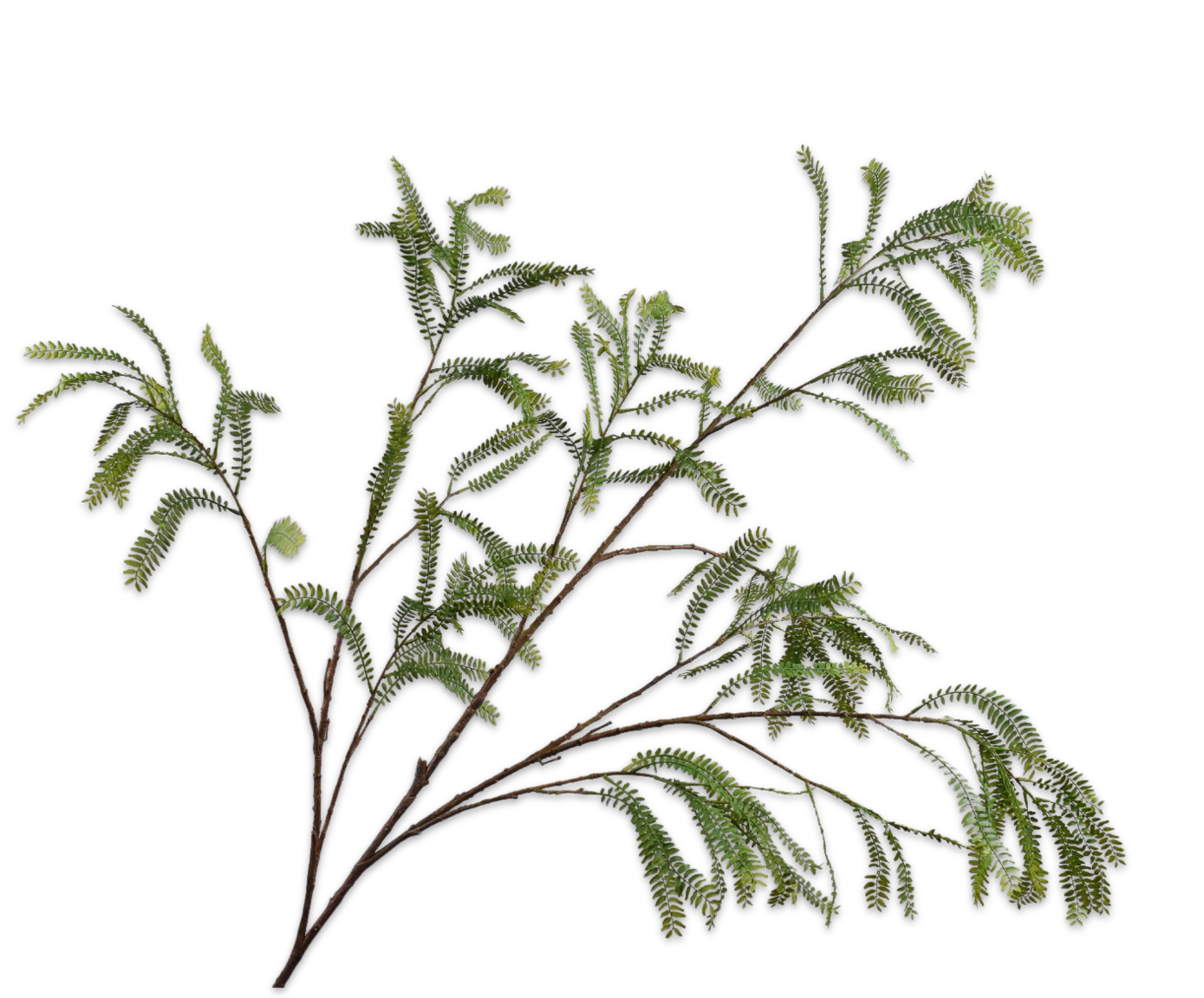 FERN SPRAY GREEN  156 CM
