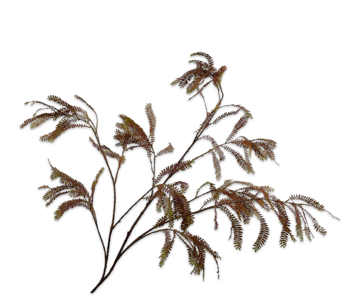 FERN SPRAY BRN/GRN  156 CM