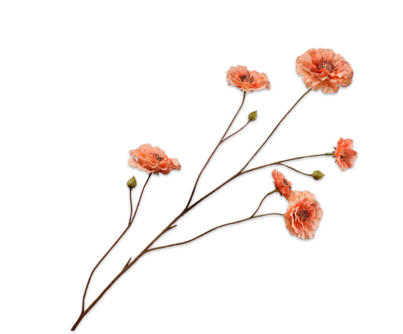 RANUNCULUS SPRAY PEACH  93 CM
