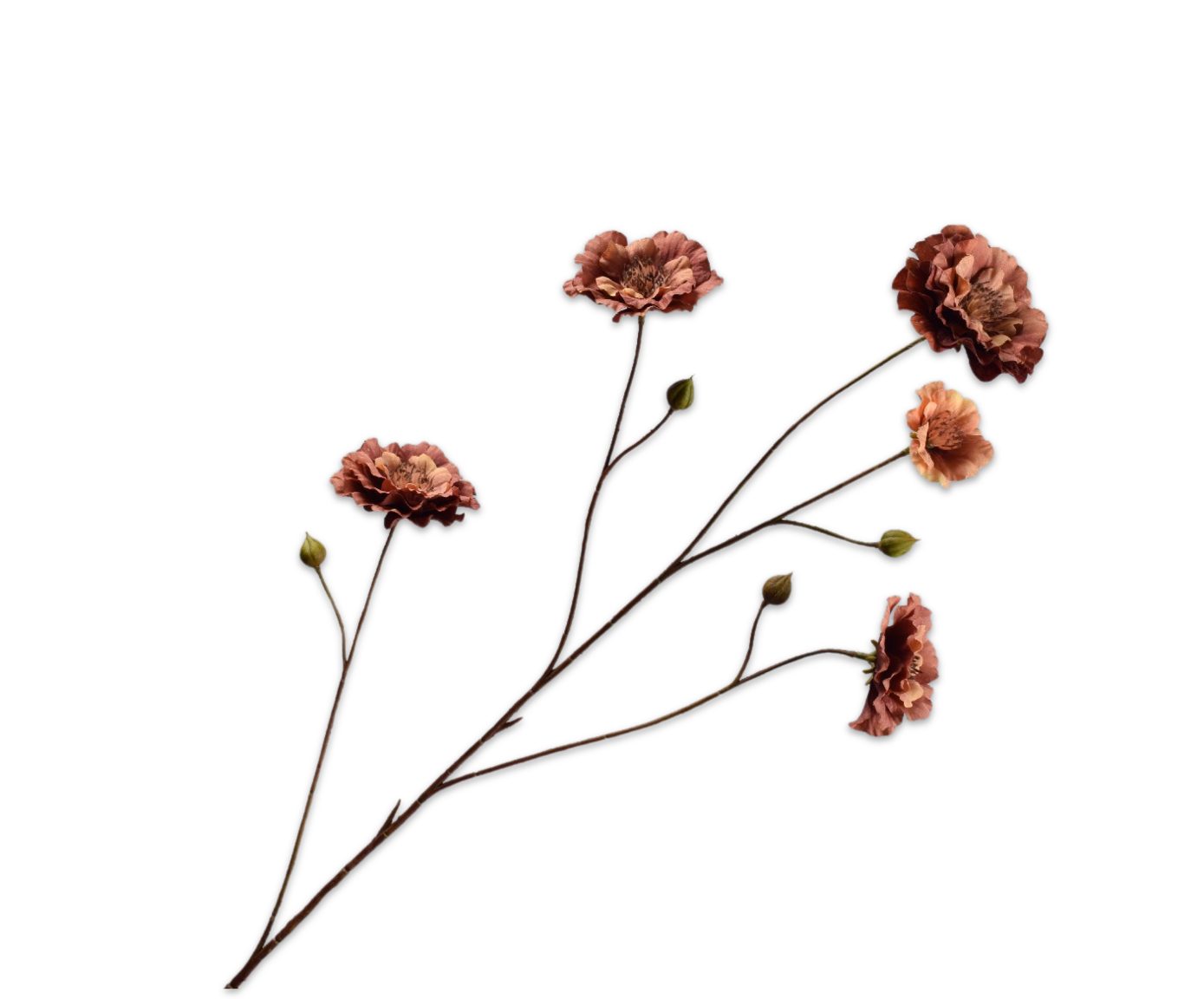 RANUNCULUS SPRAY BROWN  93 CM