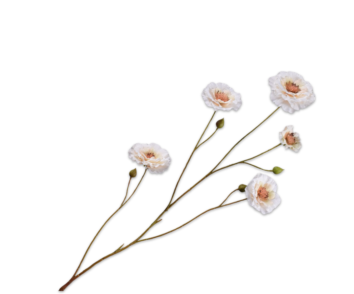RANUNCULUS SPRAY CREAM  93 CM