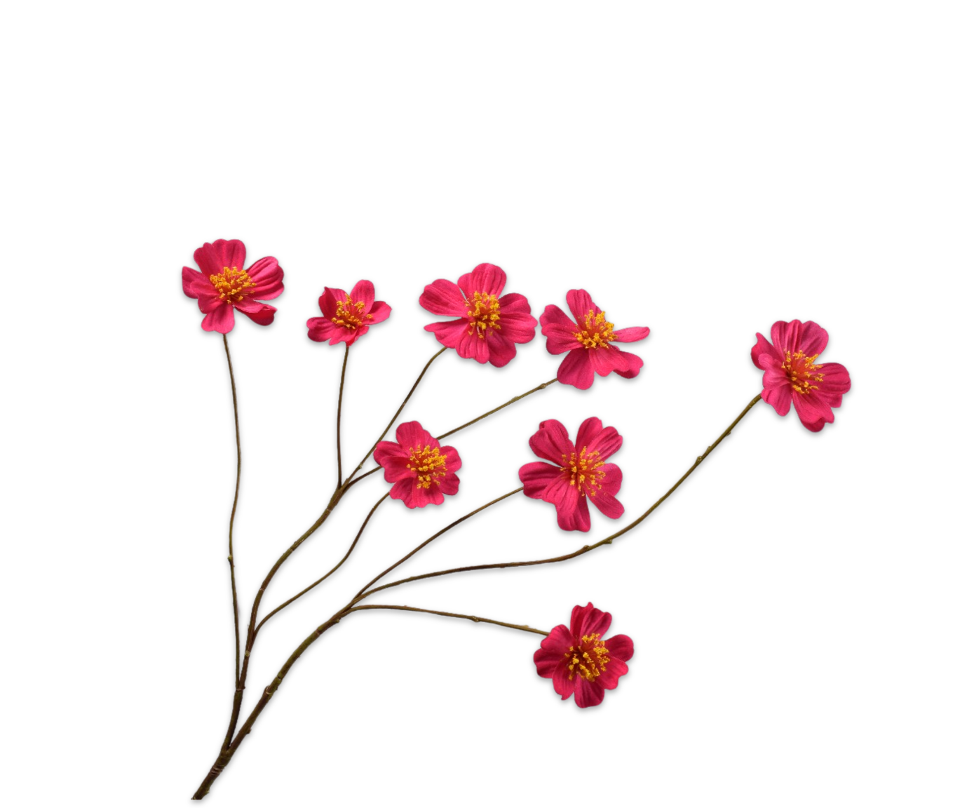 COSMOS SPRAY FUCHSIA  77 CM