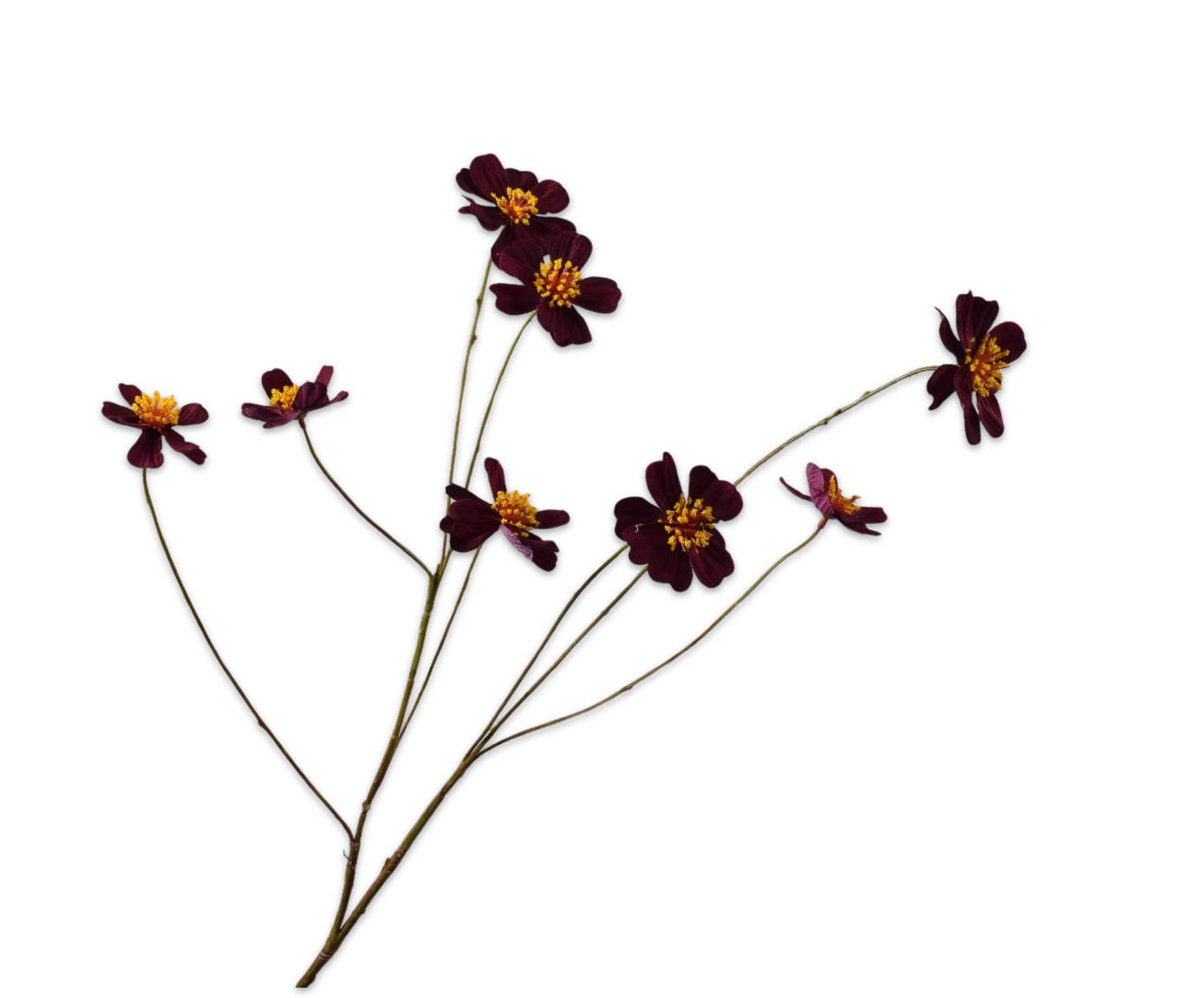 COSMOS SPRAY PURPLE  77 CM