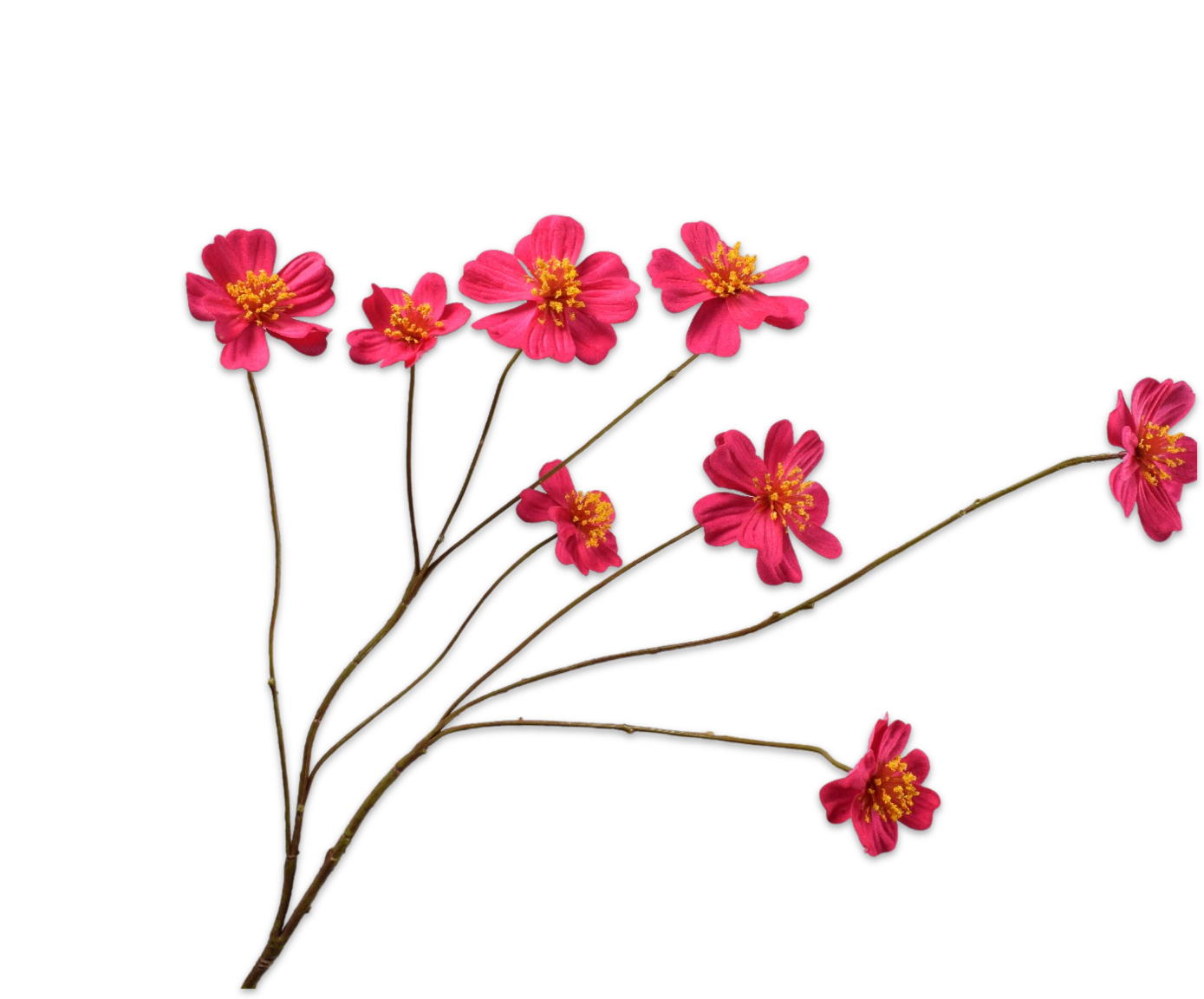 COSMOS SPRAY ORANGE  77 CM