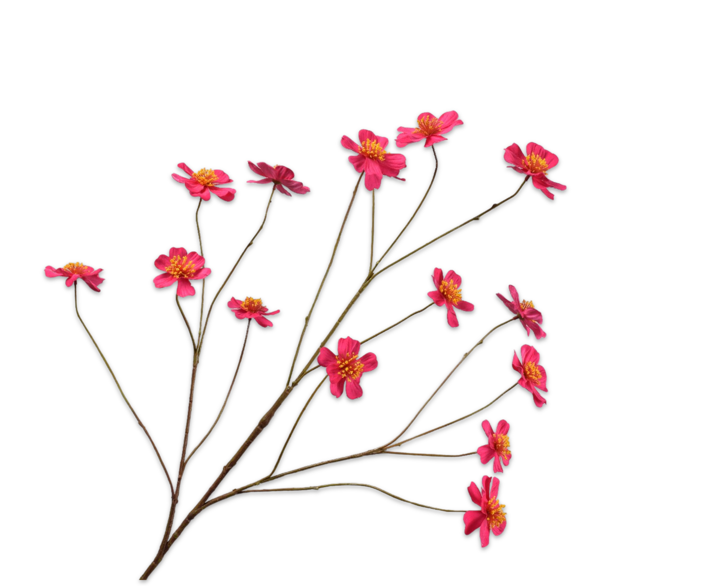 COSMOS SPRAY FUCHSIA  94 CM