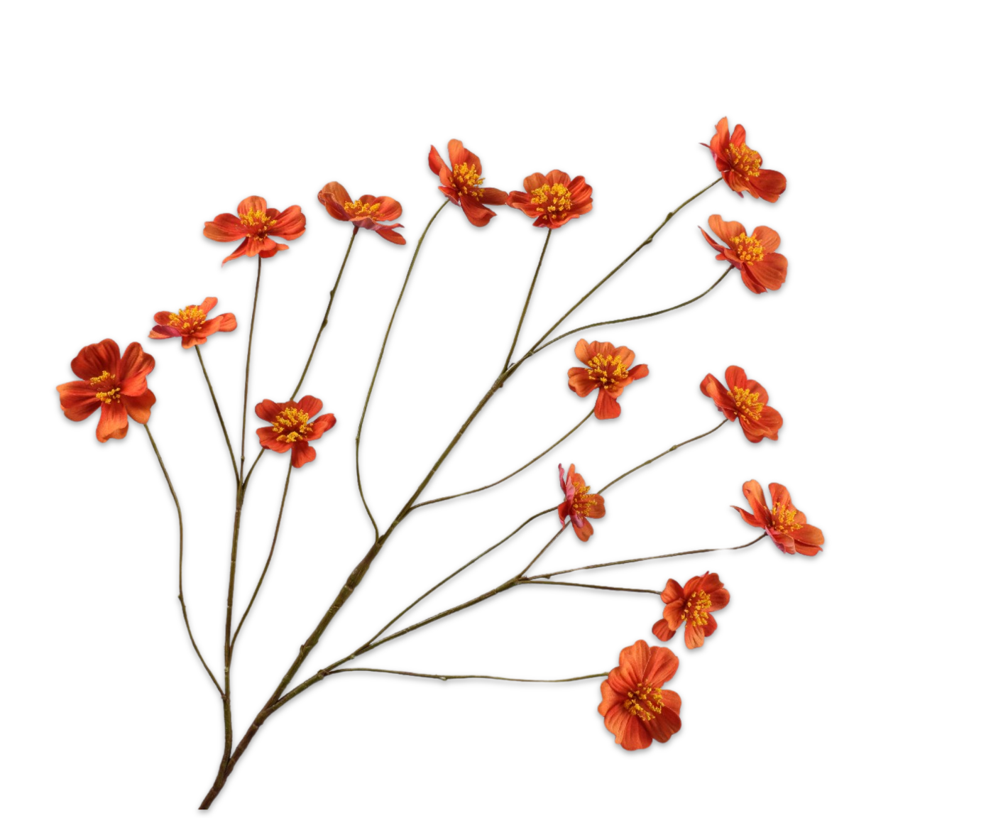 COSMOS SPRAY ORANGE  94 CM