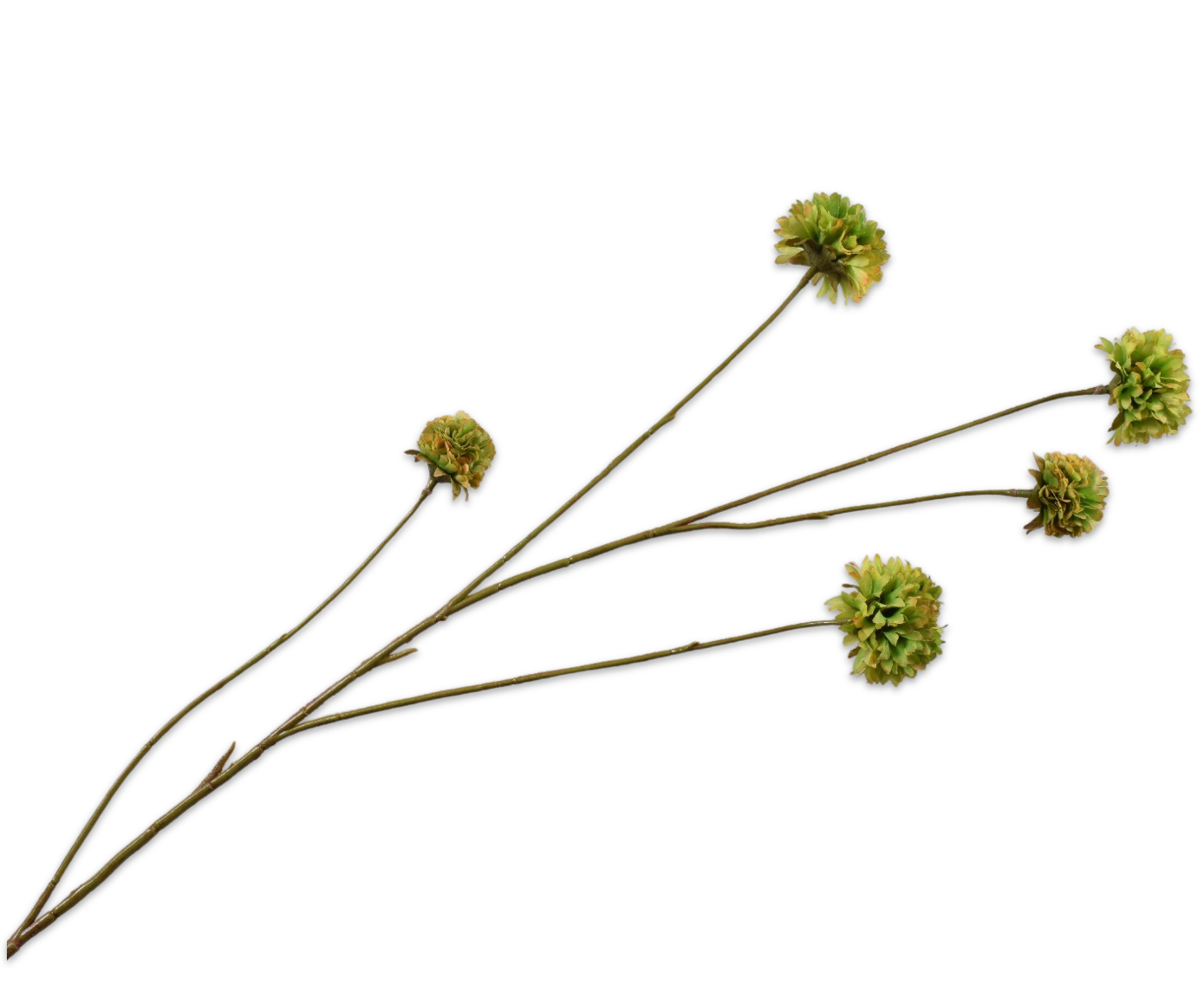 CORNFLOWER SPRAY GREEN  91 CM