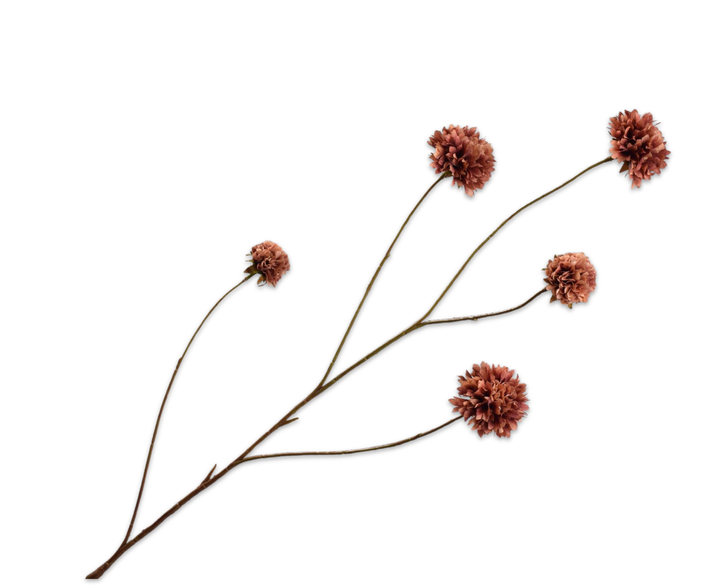 CORNFLOWER SPRAY BROWN  91 CM