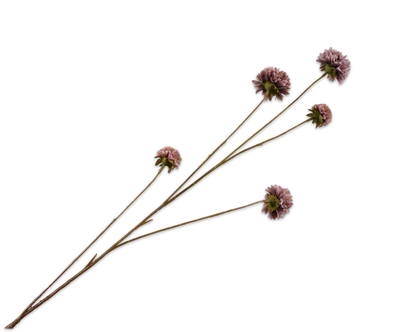 CORNFLOWER SPRAY LILAC  91 CM