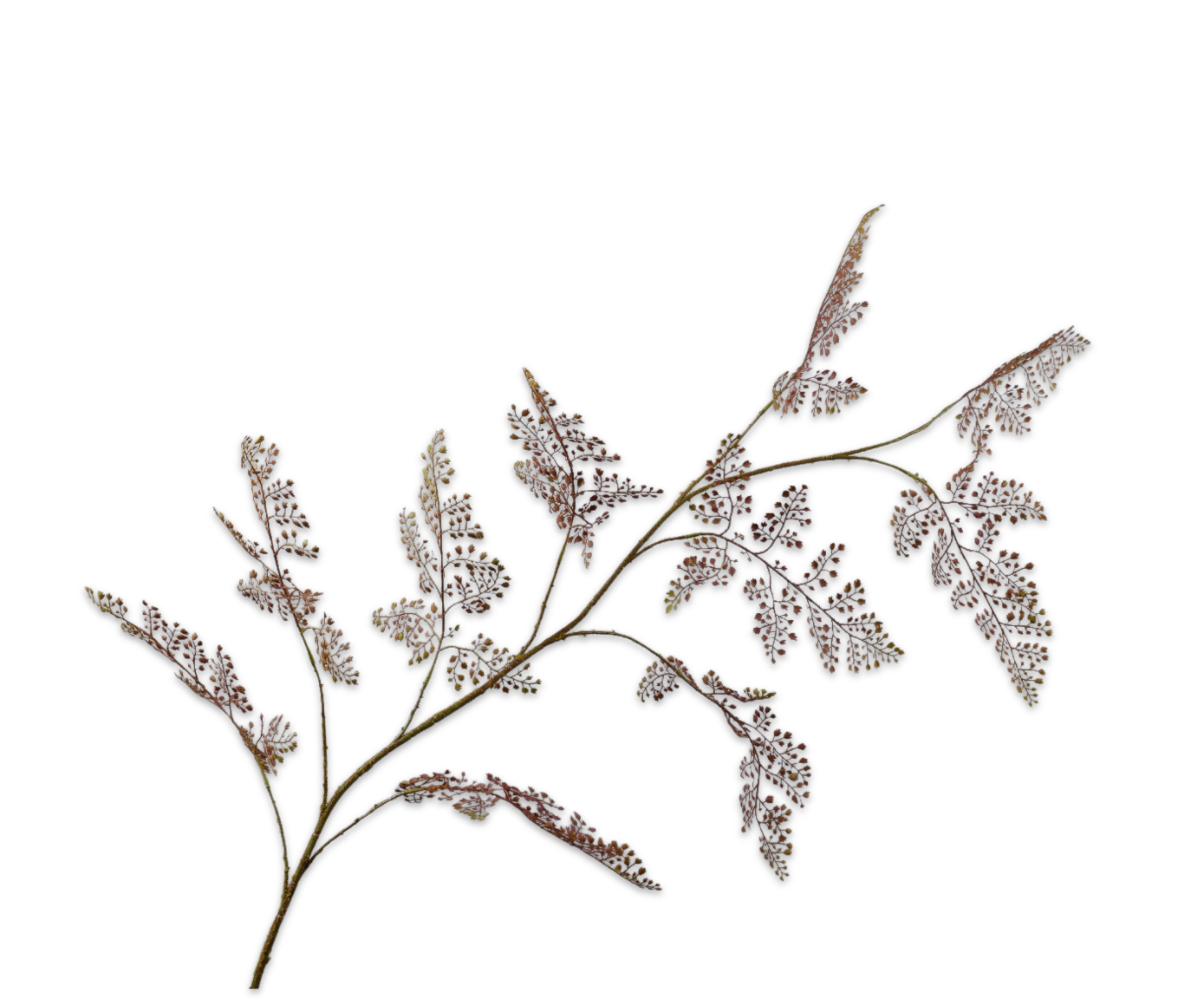 FERN SPRAY BRN/GRN  166 CM