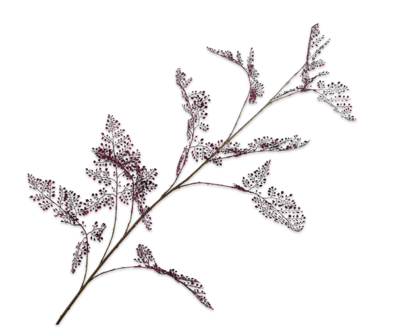 FERN SPRAY PURPLE  166 CM