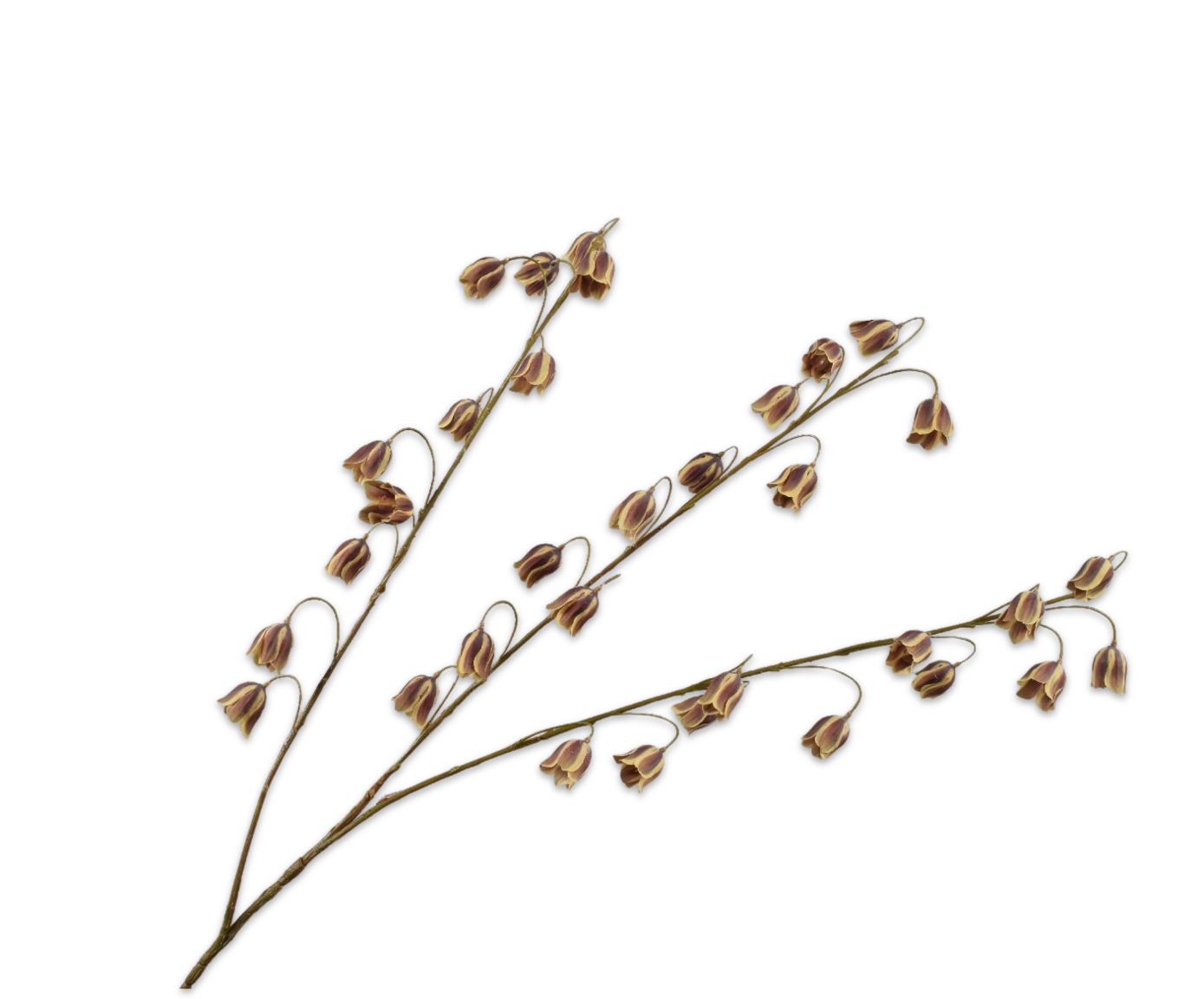 FRITILLARIA SPRAY BRN/GRN  97 CM