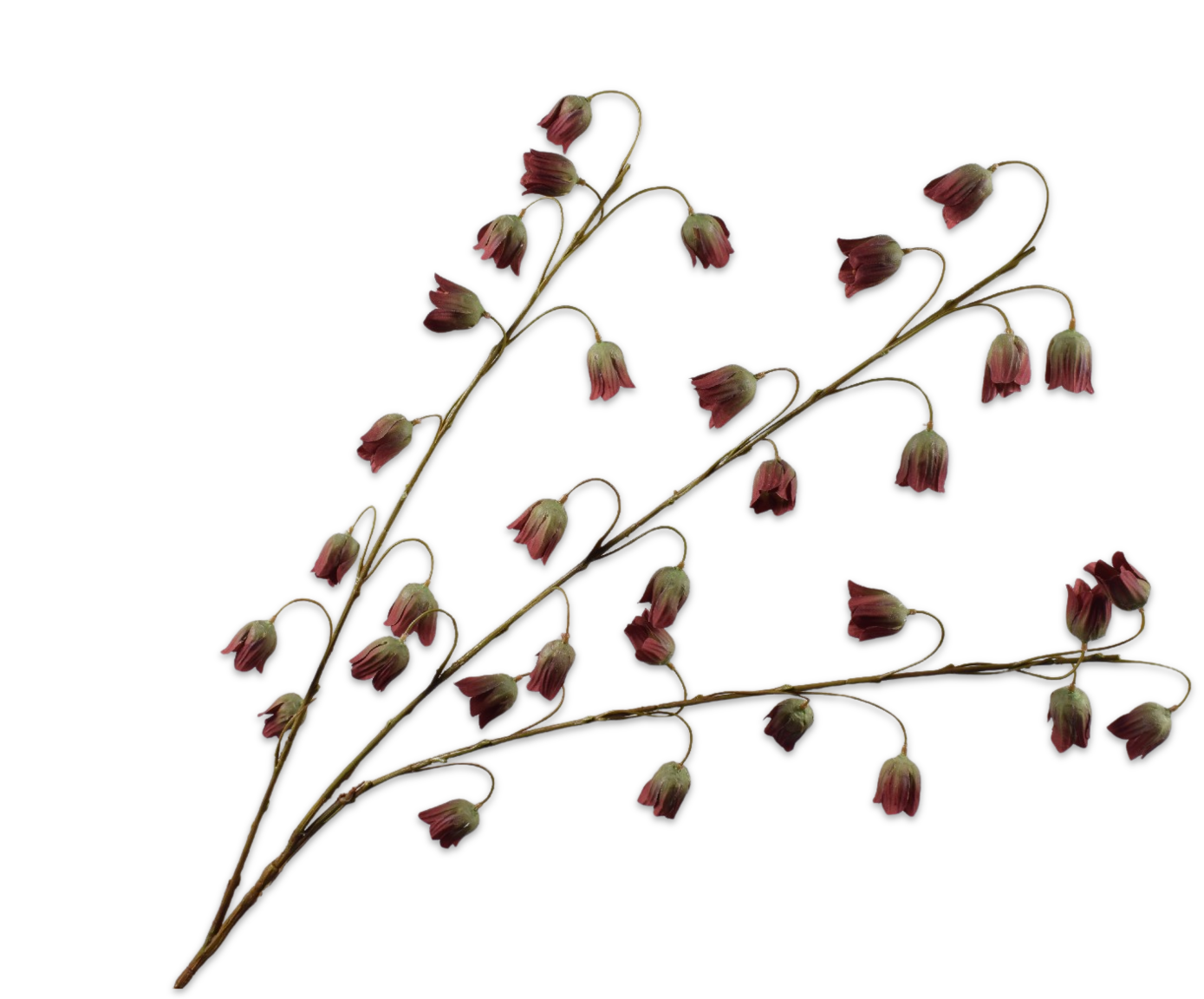 FRITILLARIA SPRAY RD/GRN  97 CM