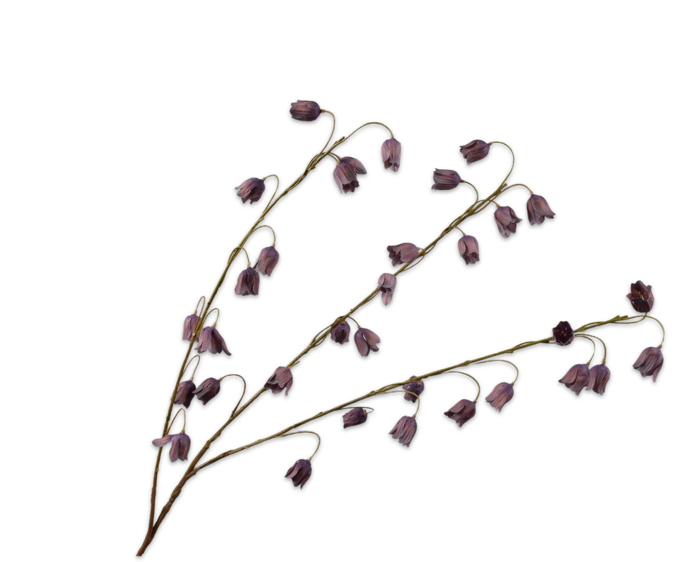 FRITILLARIA SPRAY PURPLE  97 CM