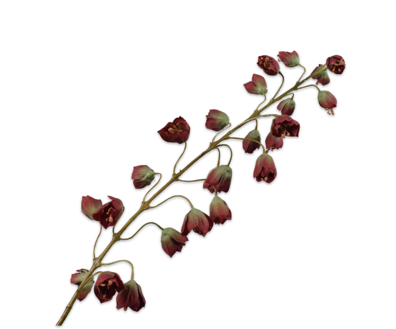 FRITILLARIA STEM RD/GRN  111 CM
