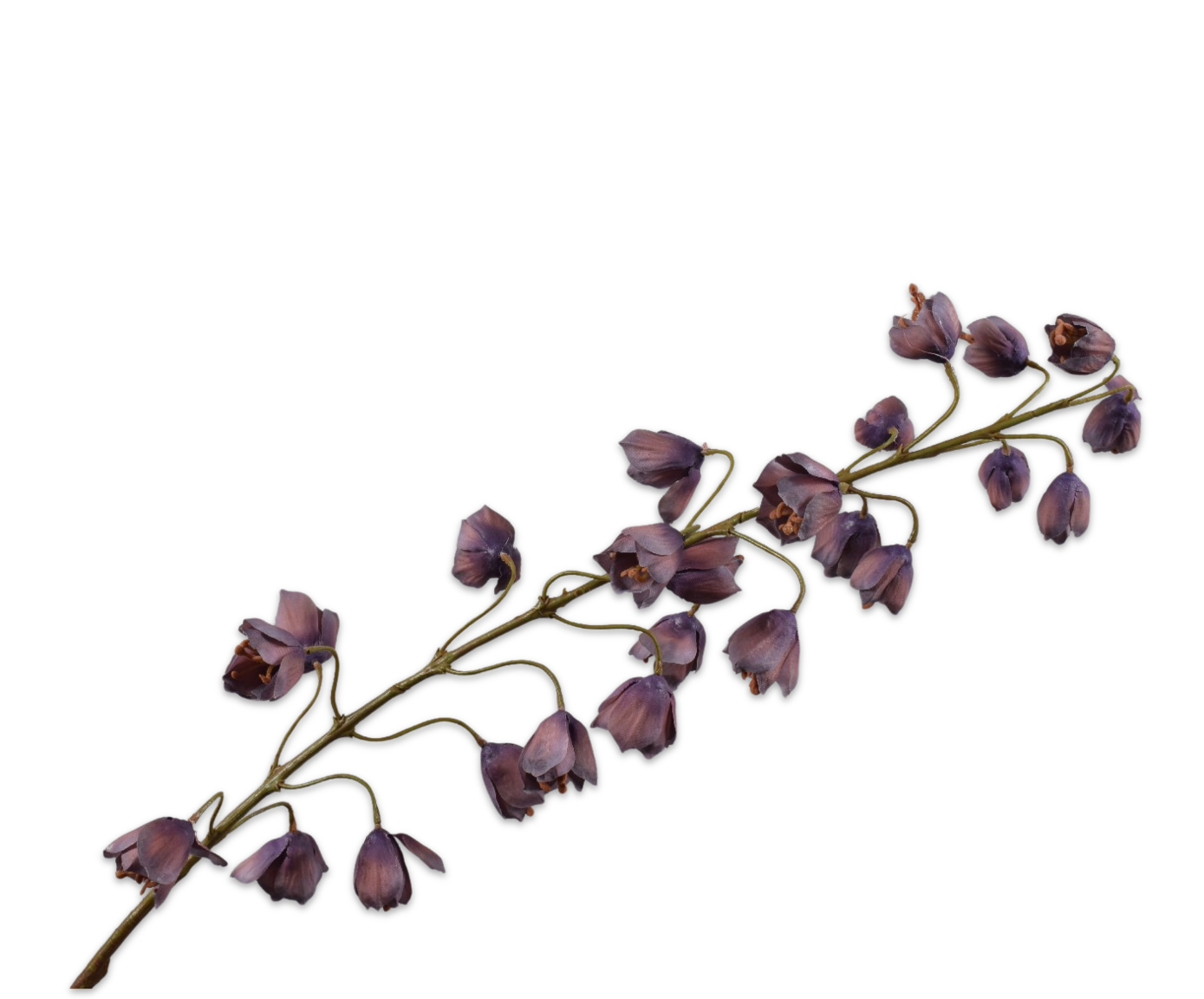 FRITILLARIA STEM PURPLE  111 CM