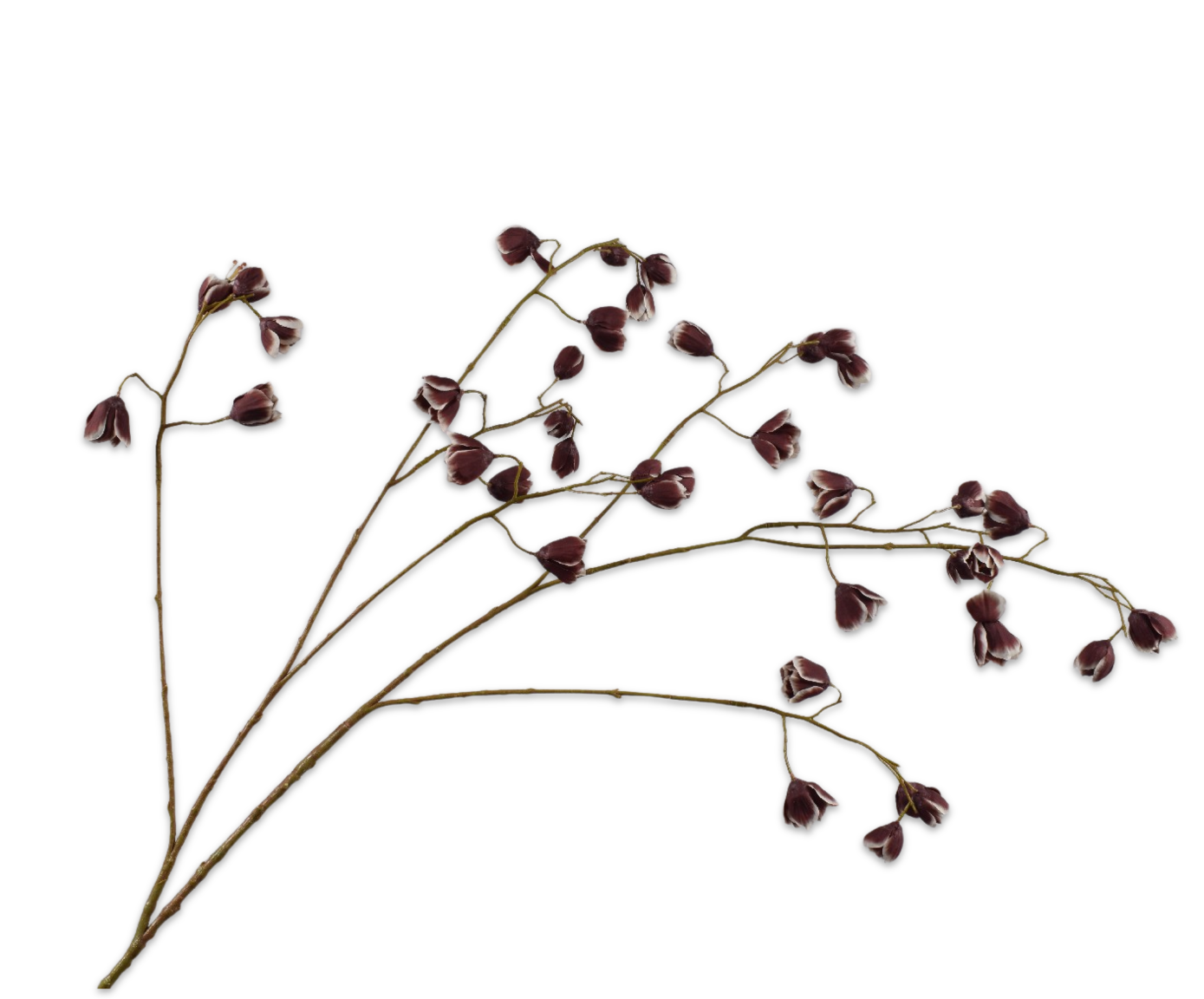 FRITILLARIA SPRAY BRN/WHT  123 CM