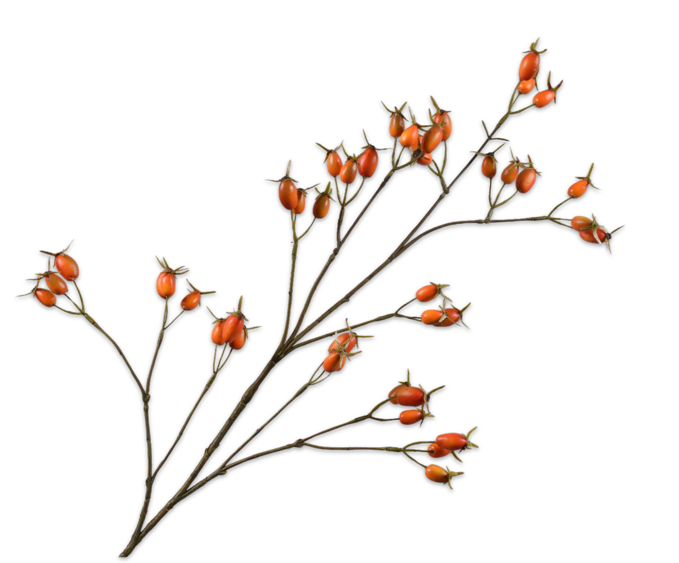 ROSEHIP SPRAY ORANGE  96 CM