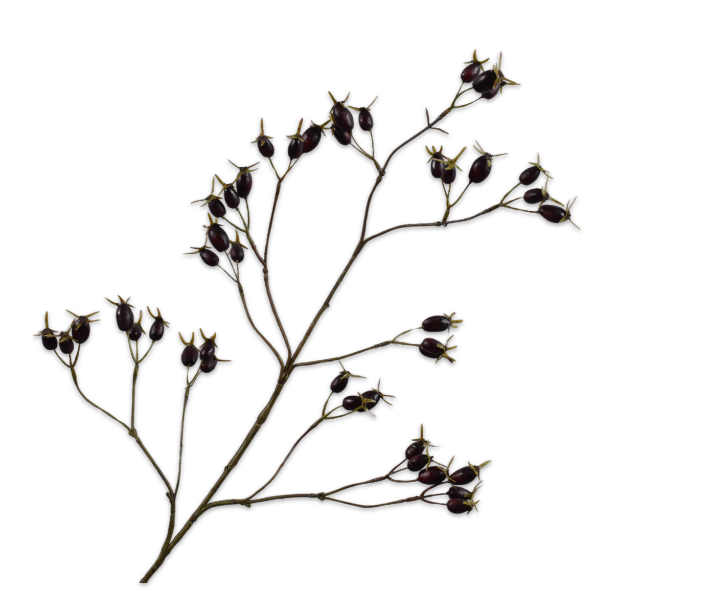 ROSEHIP SPRAY PURPLE  96 CM