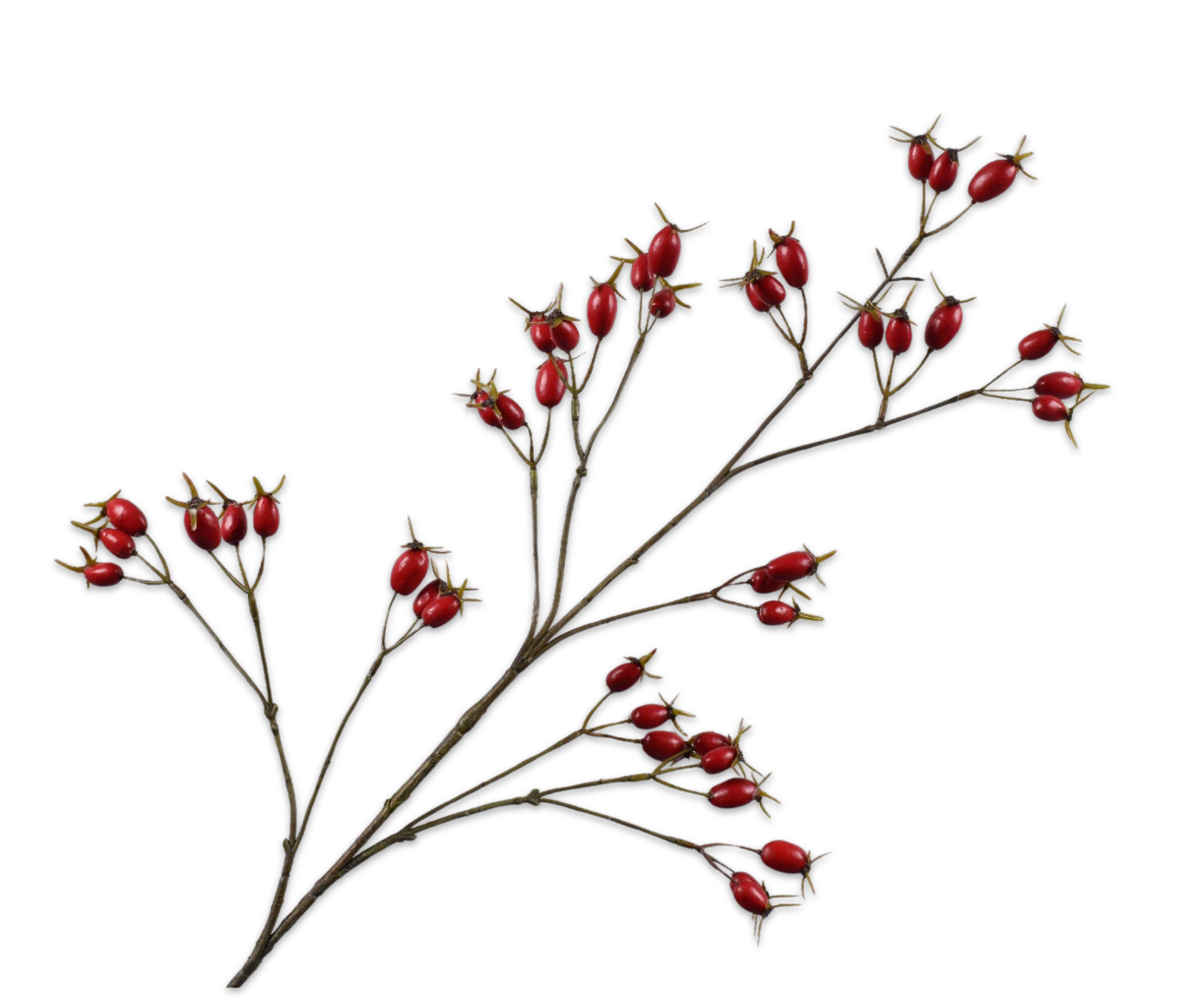 ROSEHIP SPRAY RED  96 CM