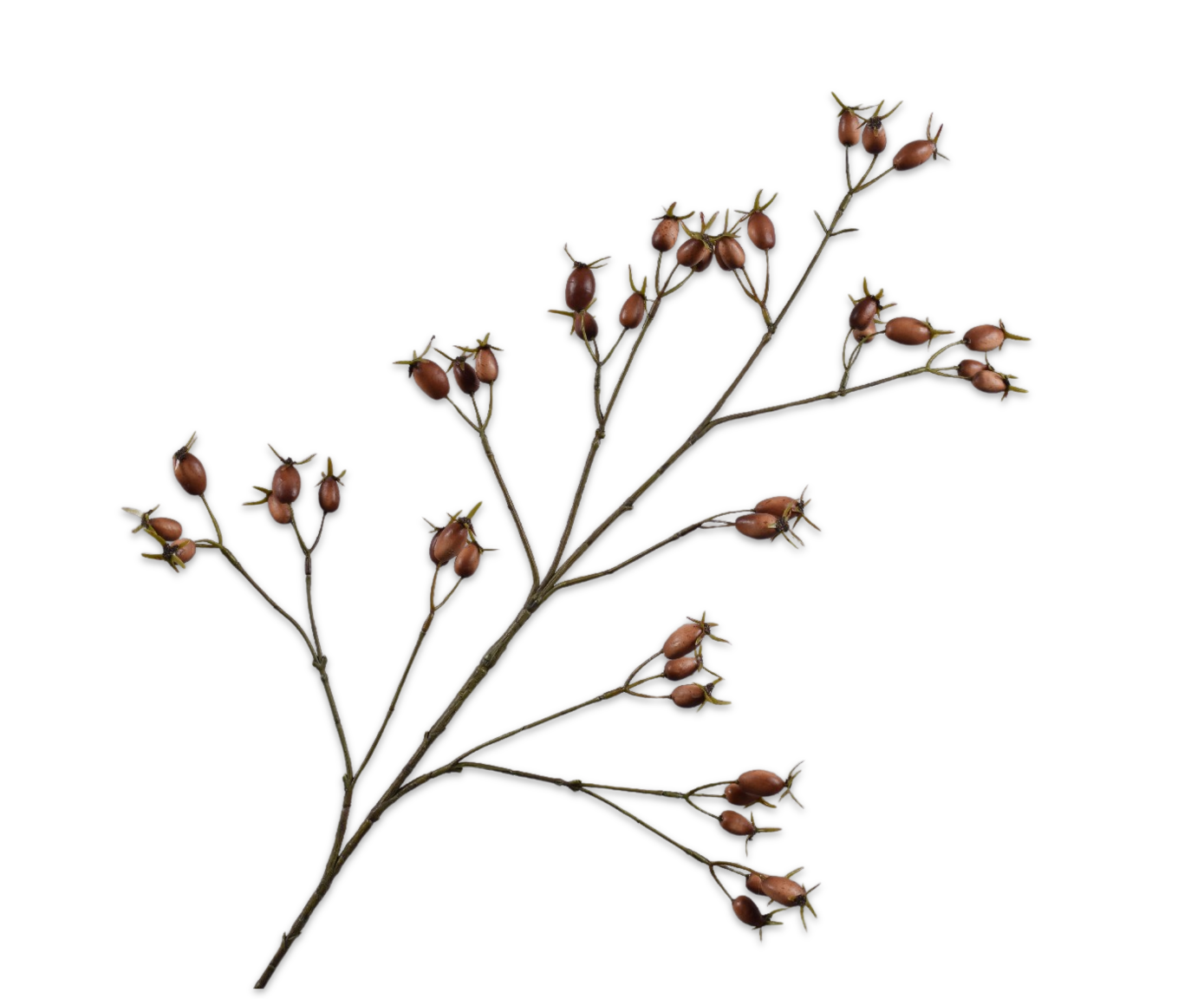 ROSEHIP SPRAY BROWN  96 CM