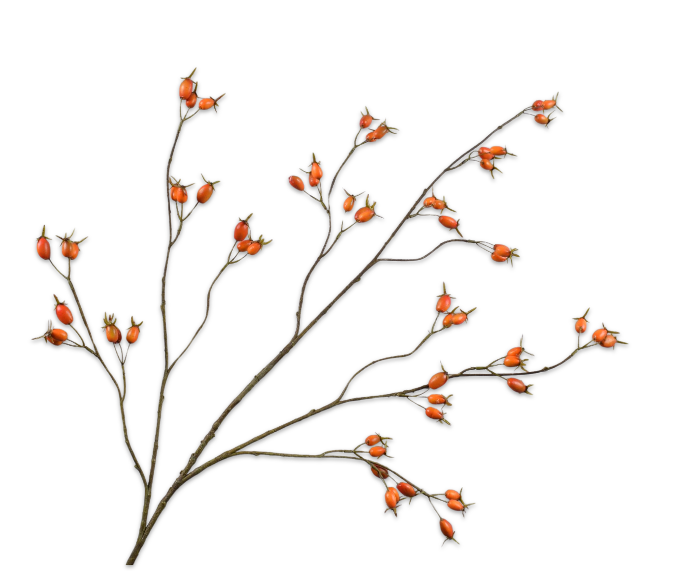 ROSEHIP SPRAY ORANGE  126 CM