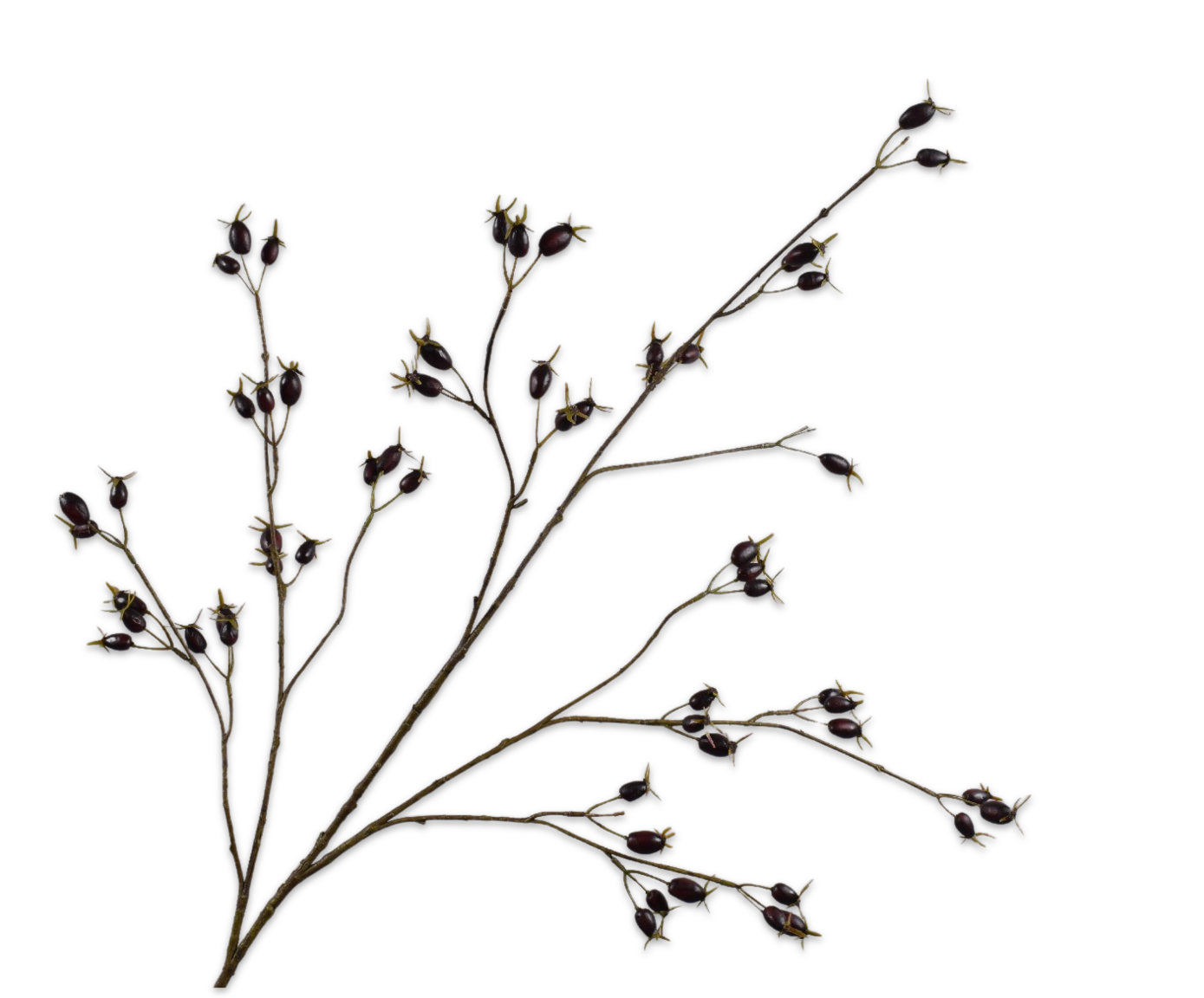 ROSEHIP SPRAY PURPLE  126 CM