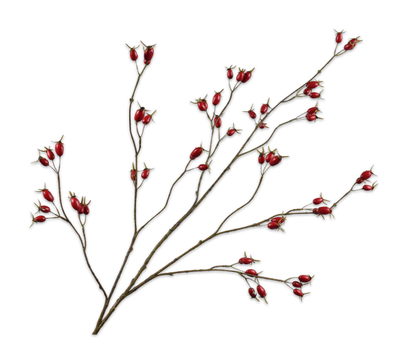 ROSEHIP SPRAY RED  126 CM
