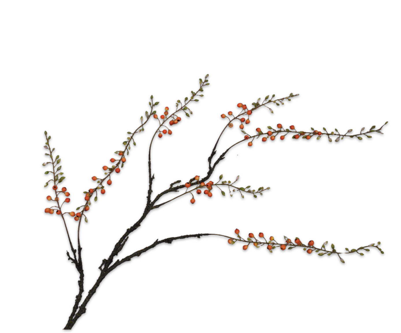 BERRY SPRAY  ORANGE  125 CM