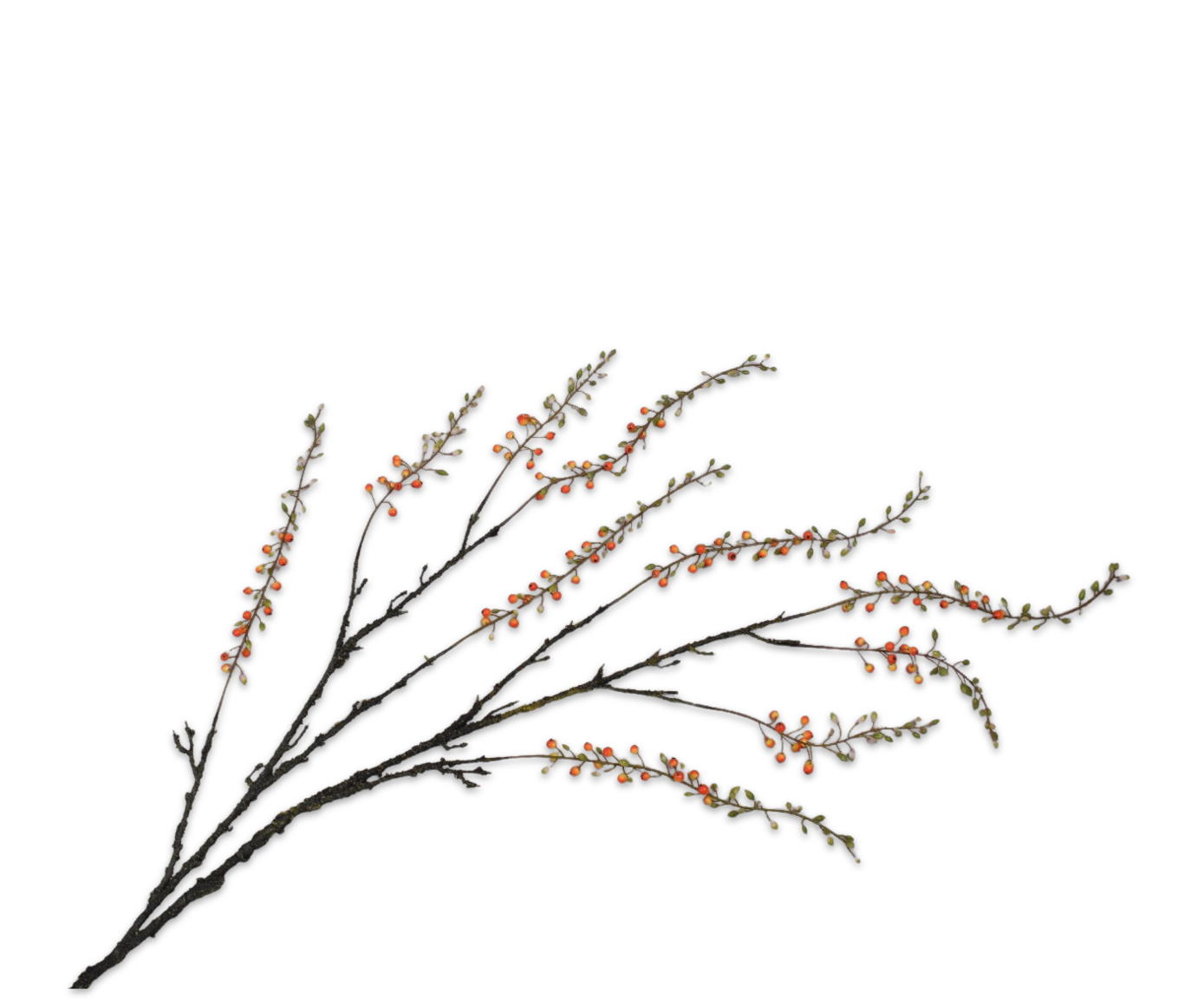 BERRY SPRAY  ORANGE  168 CM