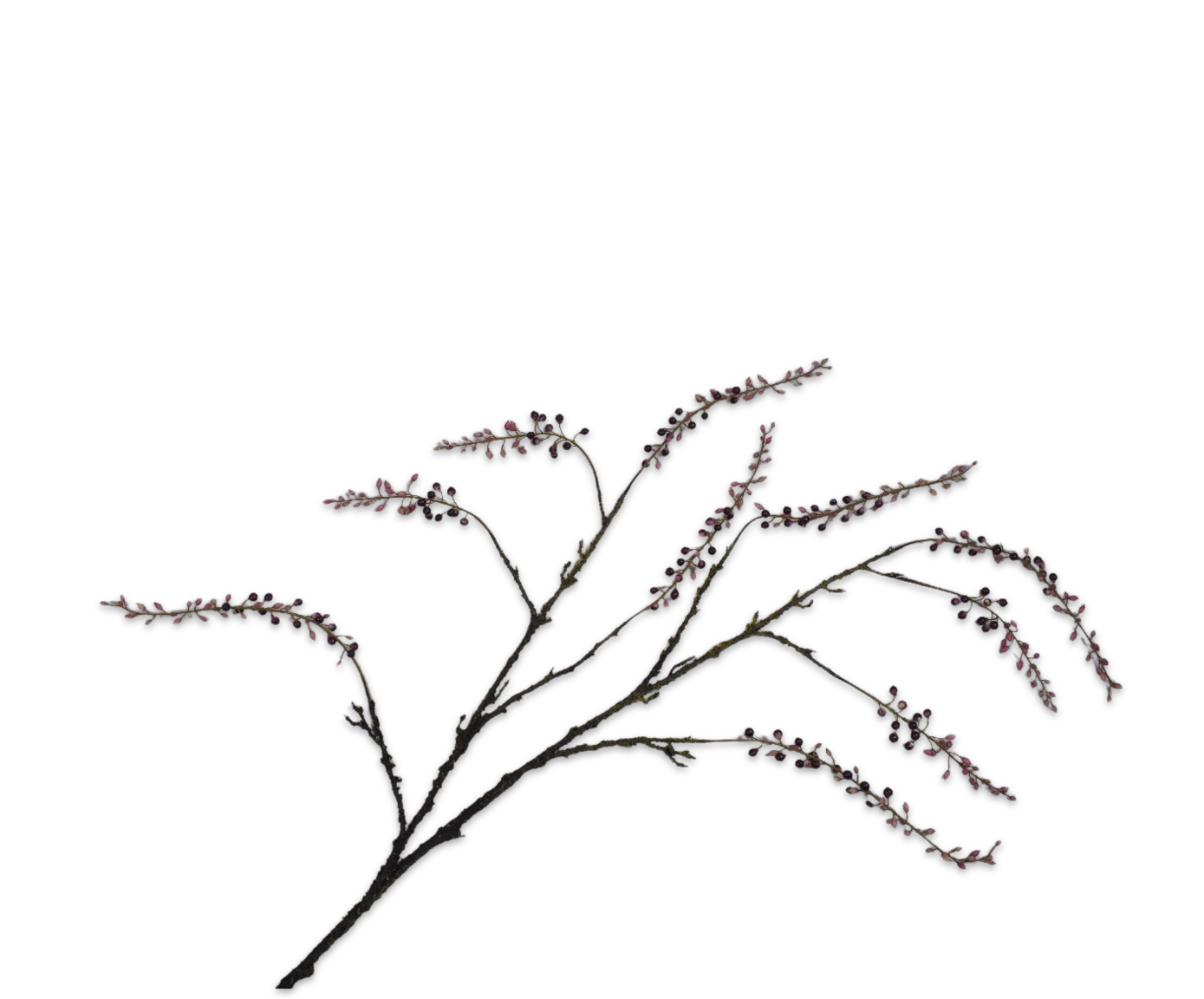 BERRY SPRAY  PURPLE  168 CM