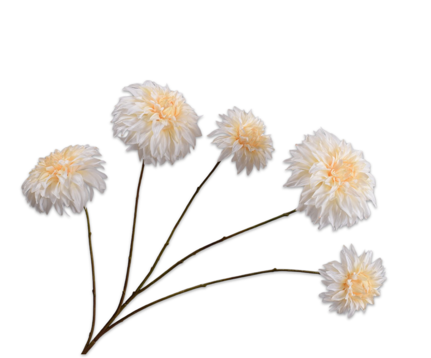 DAHLIA RAMIFIÉE CRÈME RT  91 CM