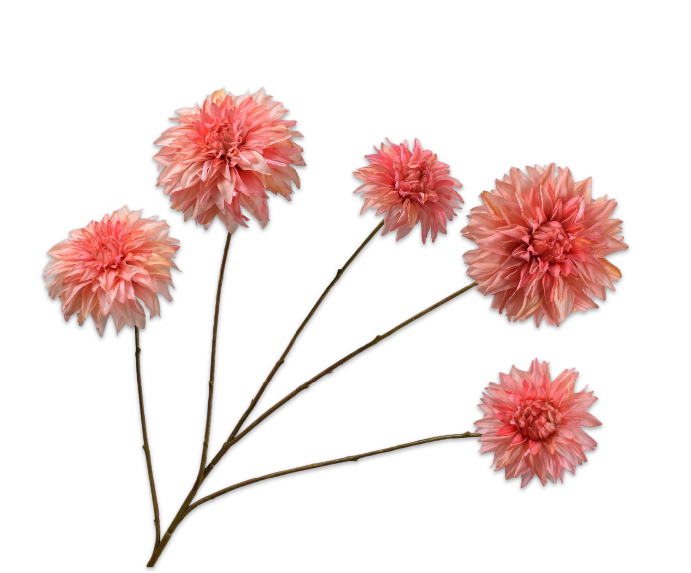 DAHLIA RAMIFIÉE SAUMON RT  91 CM