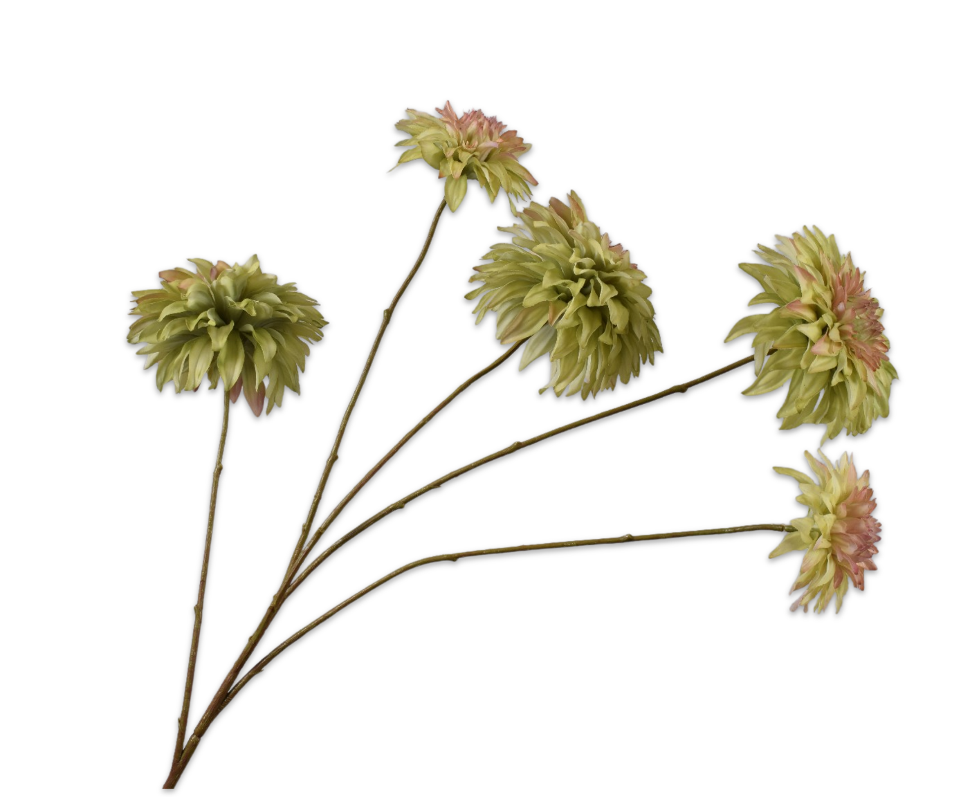 DAHLIA RAMIFIÉE VER/ROS RT  91 CM