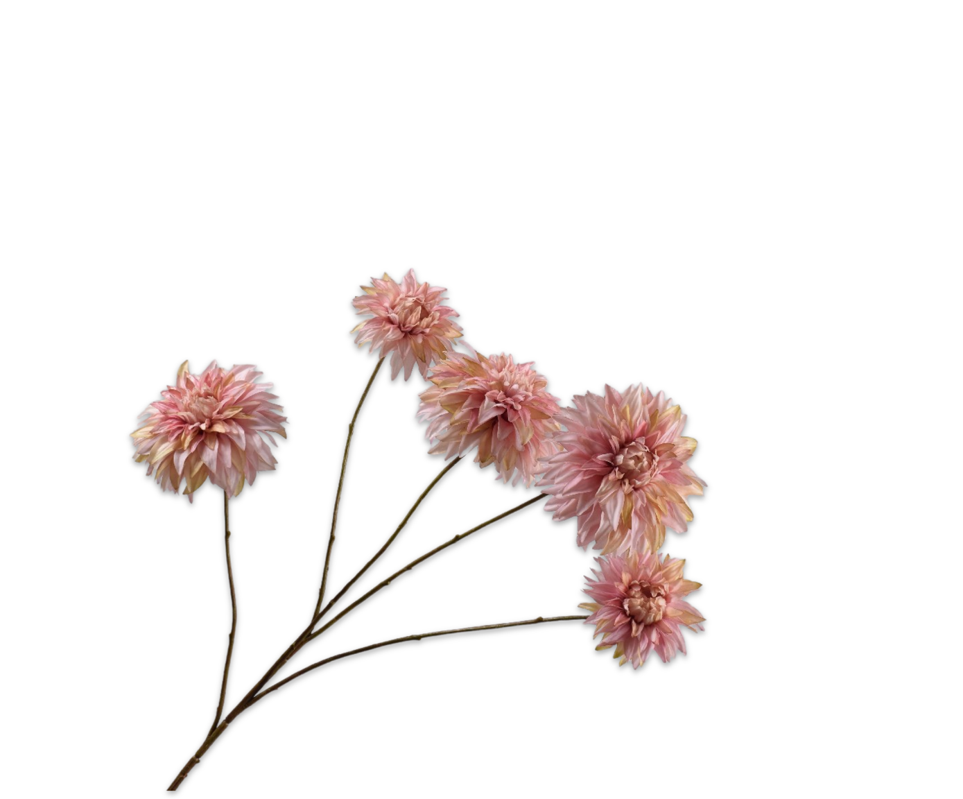 DAHLIA RAMIFIÉE MAUVE RT  91 CM