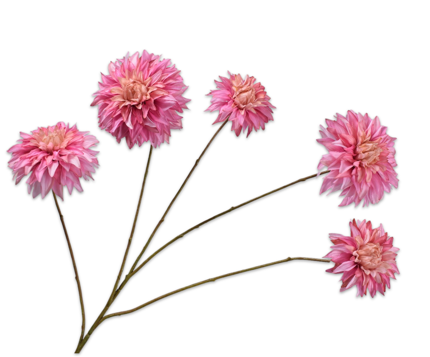 DAHLIA RAMIFIÉE ROSE RT  91 CM