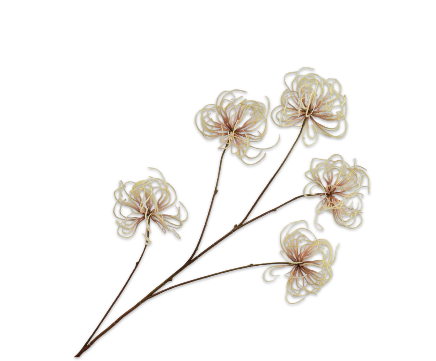 CLEMATIS SPRAY YLL/BR  95 CM