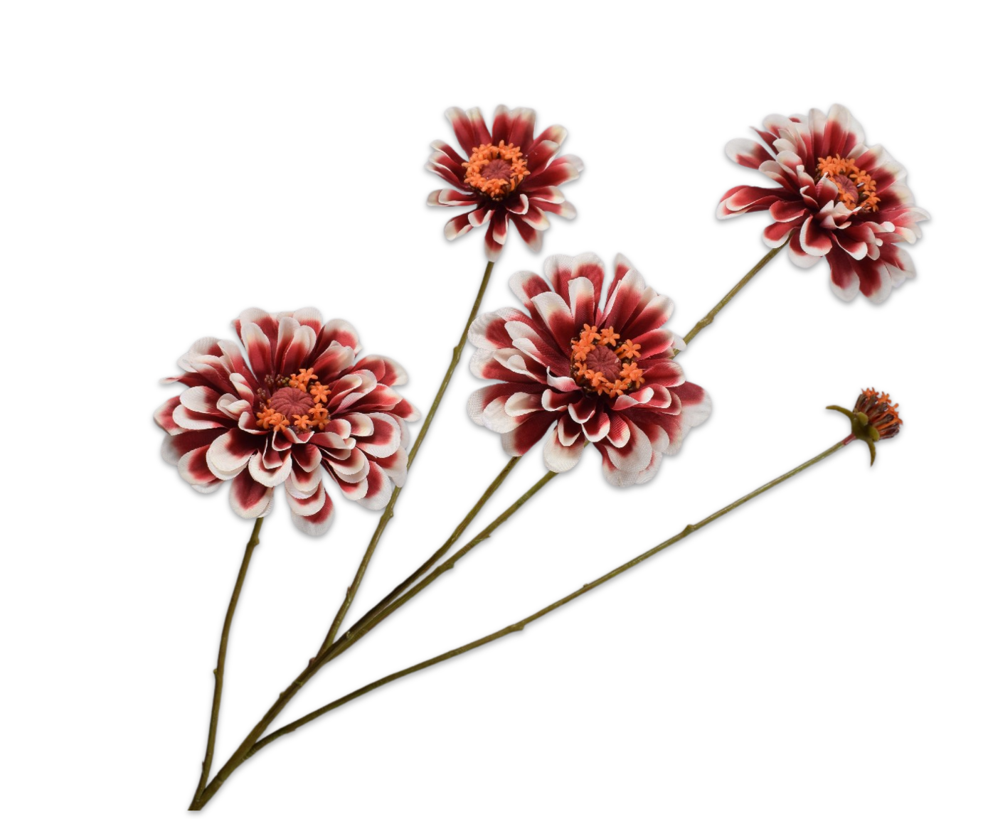 ZINNIA SPRAY CR/RED  90 CM
