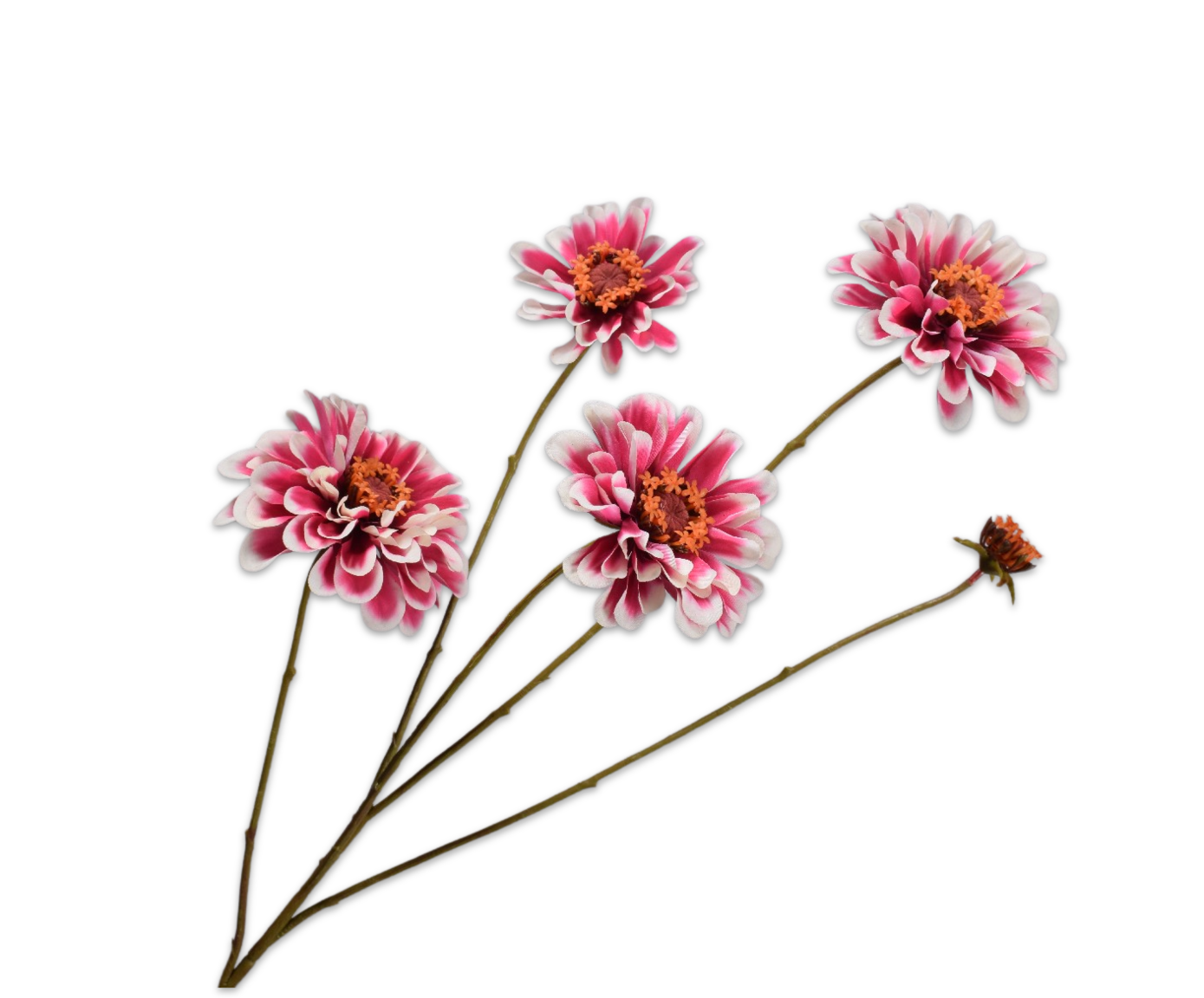 ZINNIA SPRAY CR/PNK  90 CM