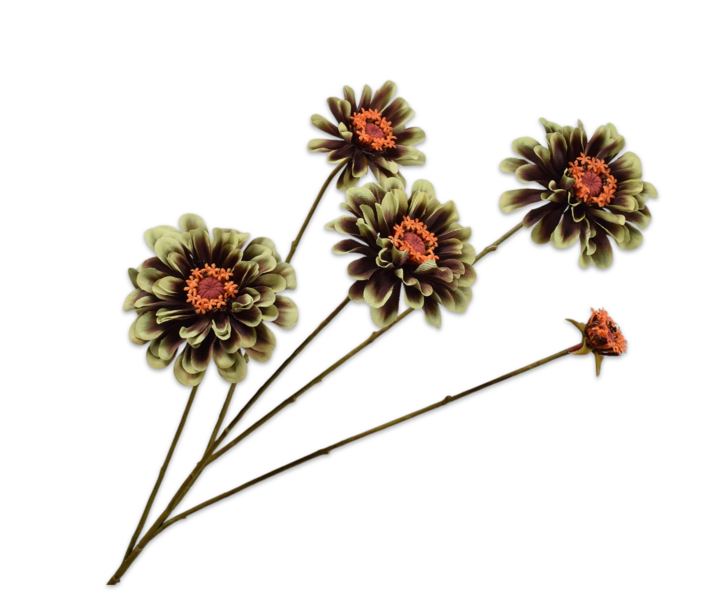 ZINNIA SPRAY GRN/BRN  90 CM