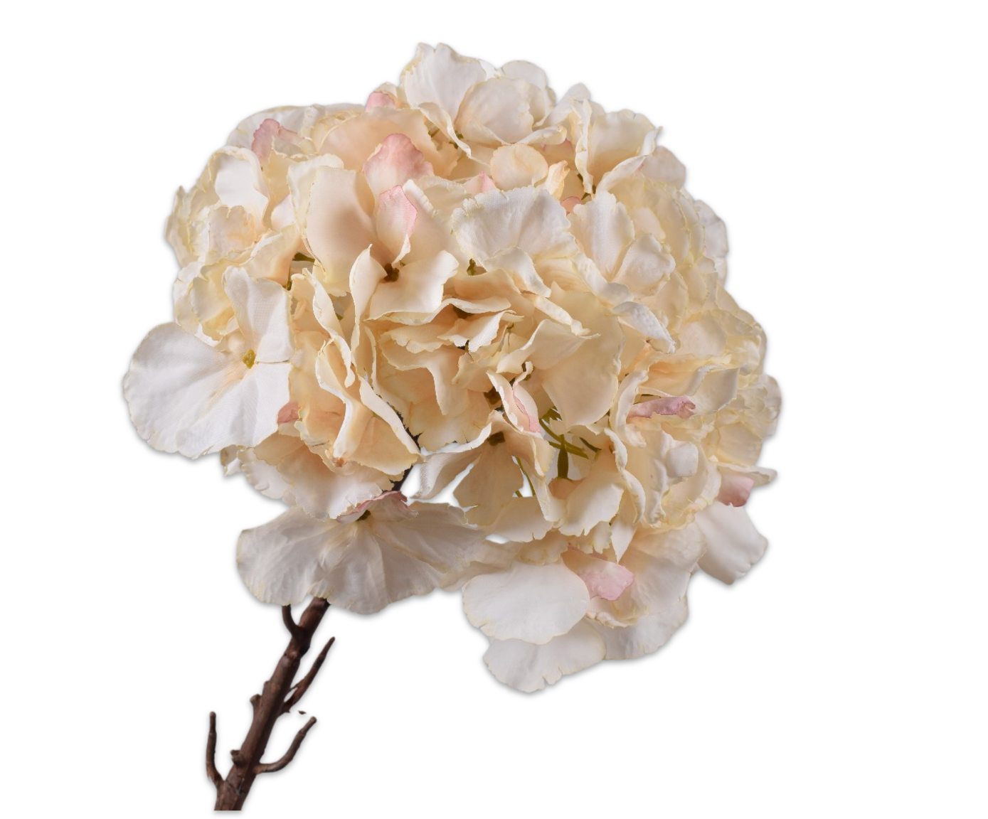 HYDRANGEA STEM CREAM  64 CM