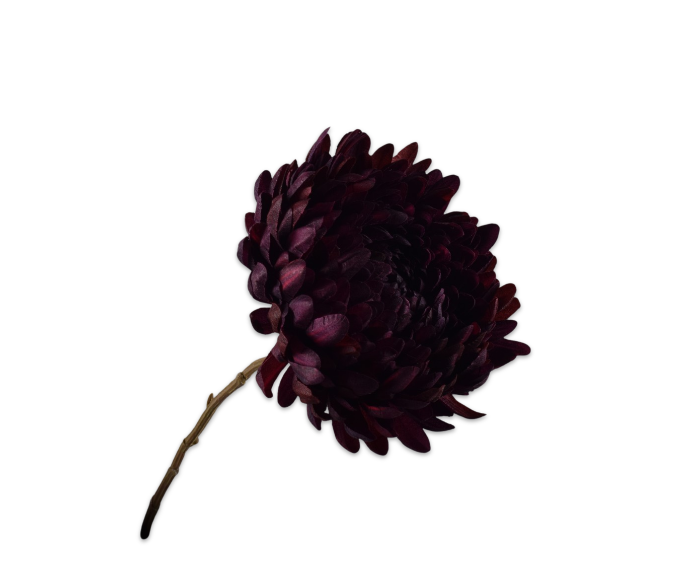 CHRYSANT SPRAY BURGUND  76 CM