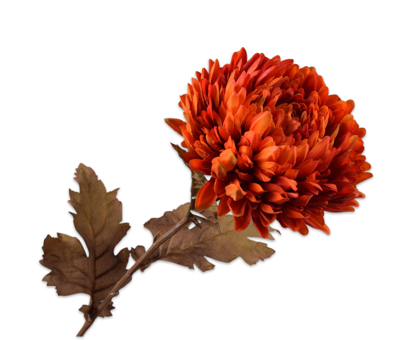 CRISANTEMO STELO ARANCIONE  75 CM