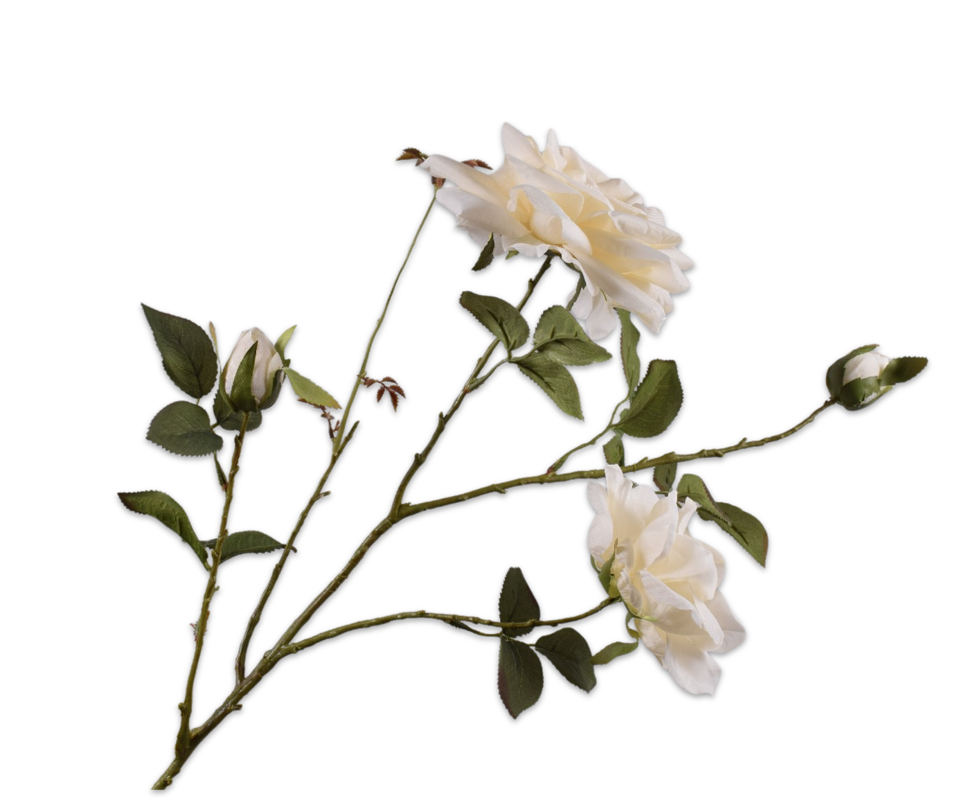ROSE SPRAY CREAM  103 CM