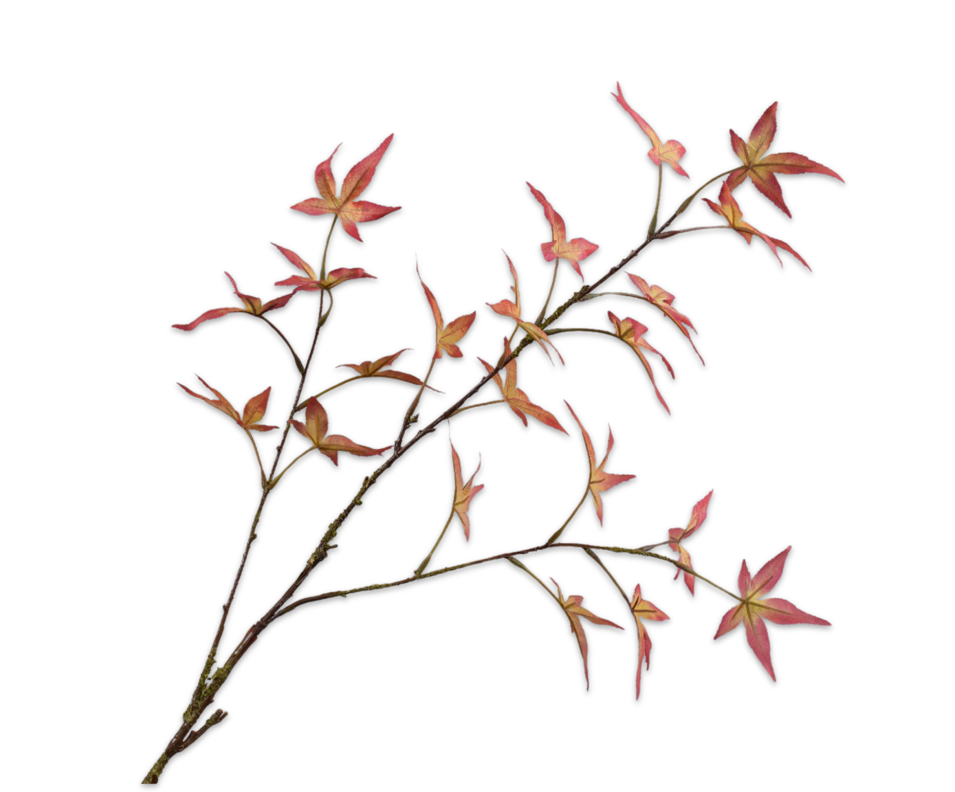 MAPLE SPRAY ORA/YLL  108 CM