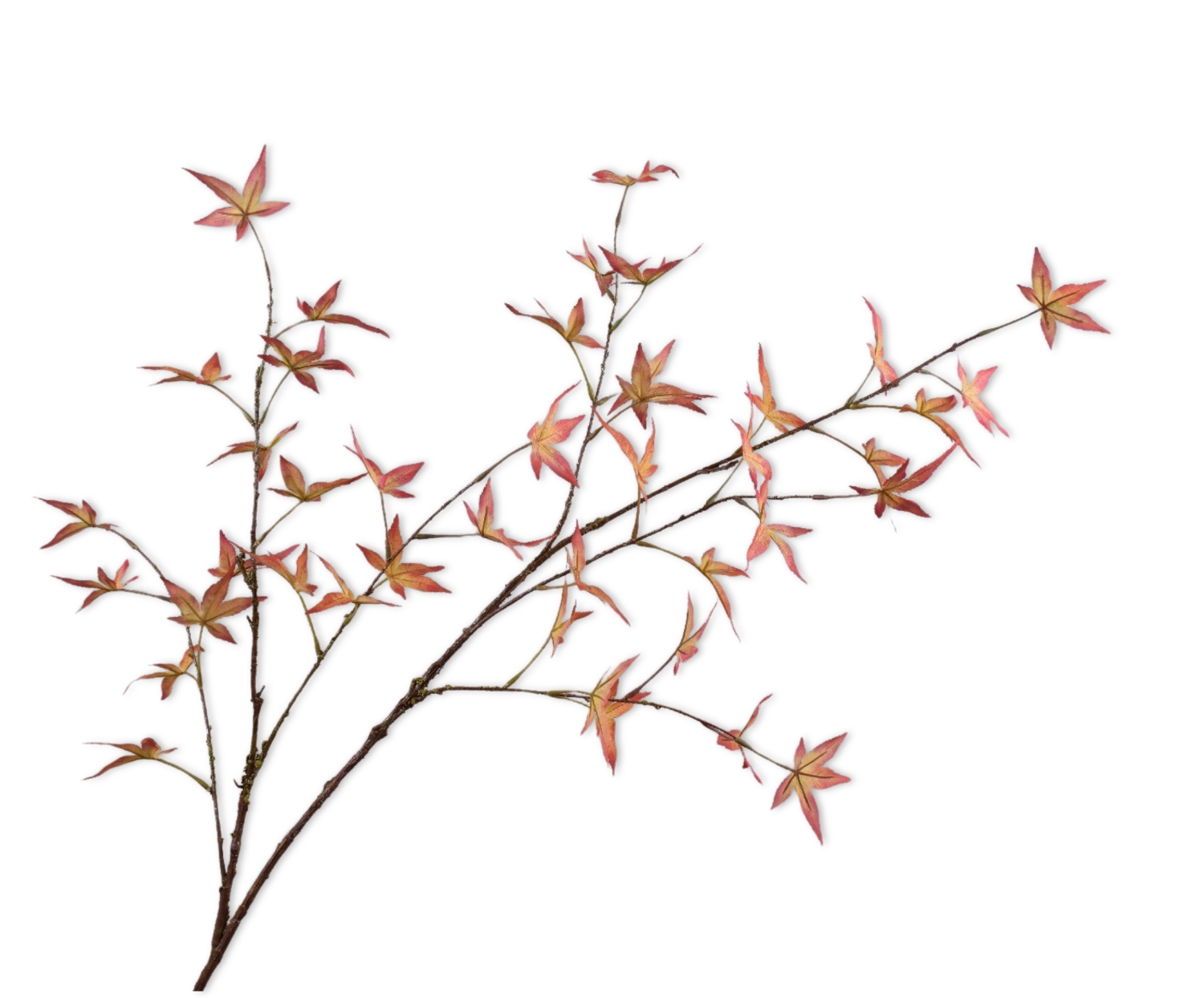 MAPLE SPRAY ORA/YLL  130 CM